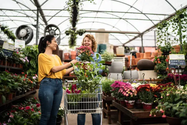 grootste tuincentrum nederland