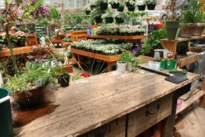 garden-center